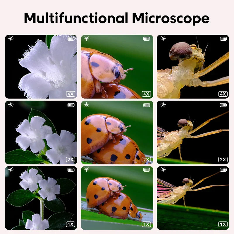 Mini Kids Microscope™ - Videnskab under linsen - Mikroskop